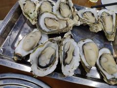 原只蒸生蚝-蚝得喜海鲜(东城店)