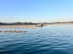 -盐洲岛