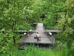 -西湖风景区-江洋畈生态公园