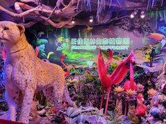-正佳雨林生态植物园
