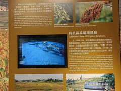 -中国酒文化城