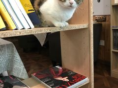 -隅cafe(傅厚岗店)