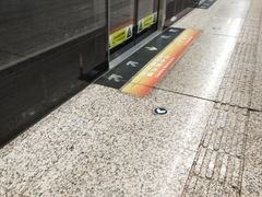 -奥体中心(地铁站)