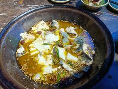-肥鱼屯活鱼锅(惠工街店)