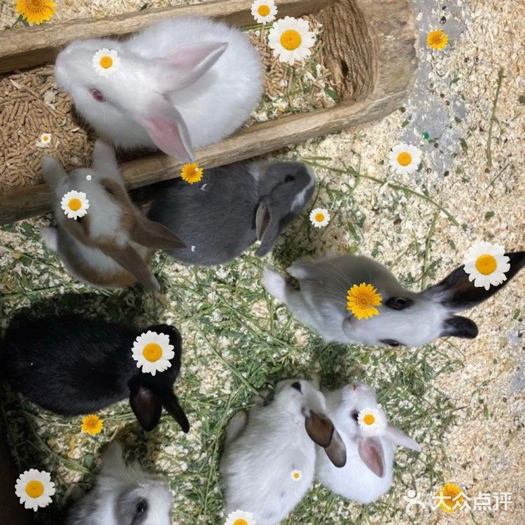 六一带娃去喂小动物吧／团单很优惠哦!