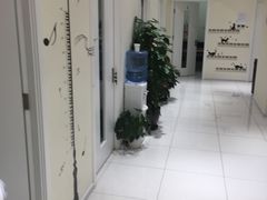 -谈·PIANO(金唐新光界店)