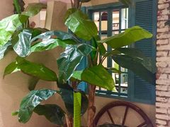 -悠仙美地(黄埔路店)