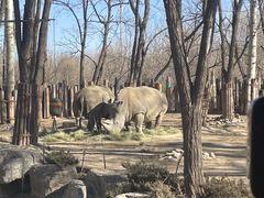 -北京野生动物园