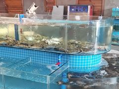 -蓝珊甄选海鲜自助·火锅大排档(近阿那亚店)