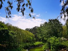 -大兴滨河森林公园