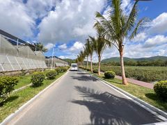 -亚龙湾国际玫瑰谷