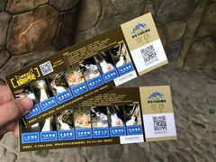 -将军关探险漂流