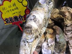 -蚝专家(北滘店)