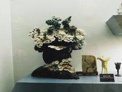 -甘肃地质博物馆