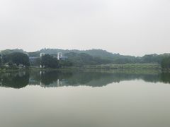 -东莞植物园