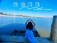 -汕尾风车岛