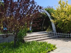 -天津东丽湖风景区