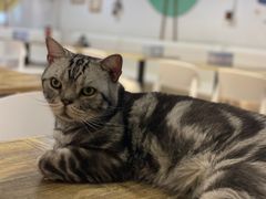 -小时光咖啡馆(北锣鼓巷店)