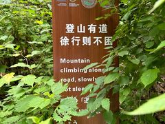 -王顺山国家森林公园