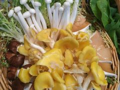 -阿杜打边炉(五江天街店)