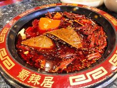 -蜀辣居鲜货老火锅(红牌楼店)