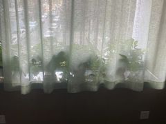 -正清和·推拿养生(二七广场店)