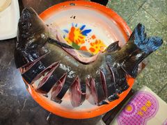 松花鱼-粗粮人家·东北菜(洋桥店)