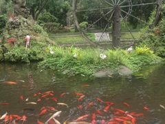 -莫里热带雨林景区