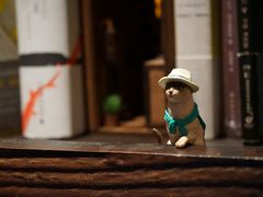 -凡人&庄阿姨的辣(万寿亭店)