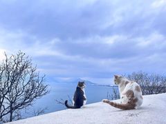 -句容茅山景区
