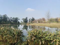 -两河城市森林公园