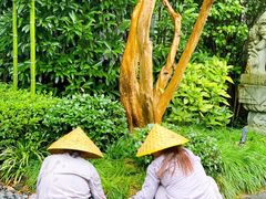 -杭州西子湖四季酒店·金沙厅