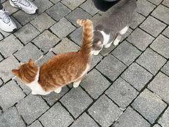-星巴克臻选(思南公馆店)