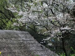 -中国茶叶博物馆(双峰馆区)