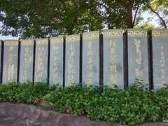 -风云岭森林公园