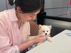 -嘉陵楼馋嘴城(簋街总店)