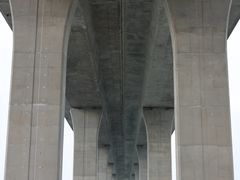 -中澳友谊花园