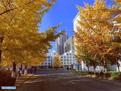 -辽东学院(南校区)