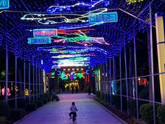 -南宫五洲植物乐园