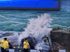 -多彩贵州城极地海洋世界