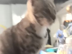 -逃脱反斗城沉浸剧情密室(北京路店)