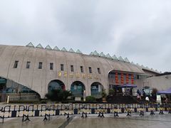 -自贡恐龙博物馆