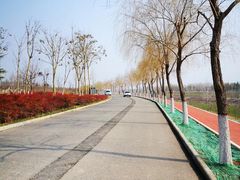 -洨河生态公园
