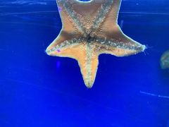 -常州海昌海洋探索馆