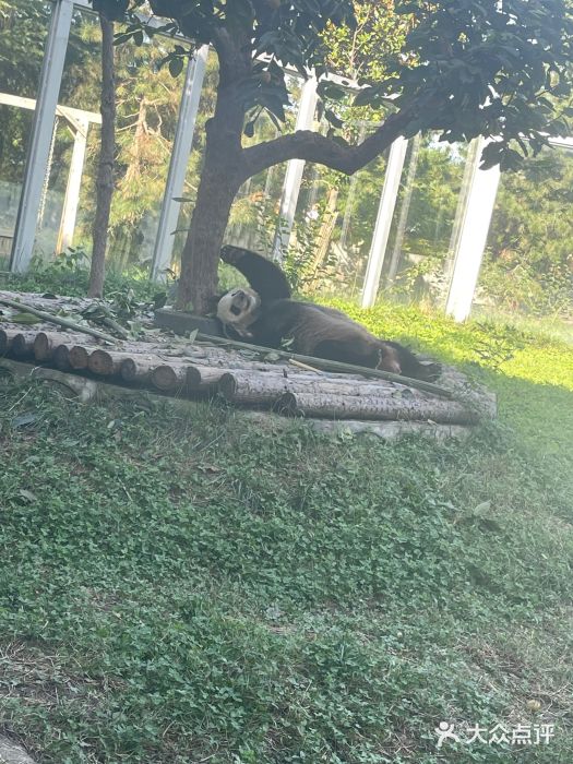 西安秦岭野生动物园图片
