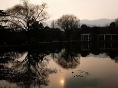 -国家植物园南园