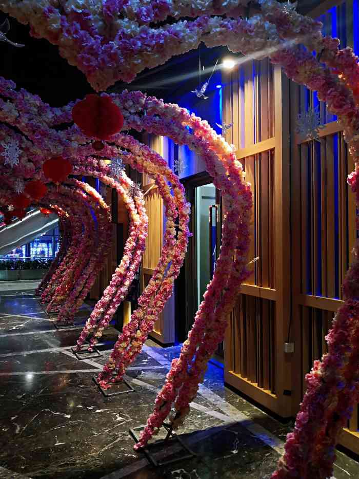 v-show主题ktv(金虹桥国际中心店)