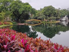 -晓港公园