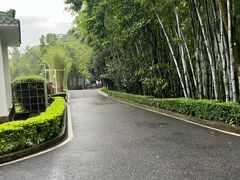 -广东温泉宾馆