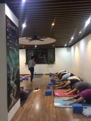 -兴亚瑜伽20年老馆